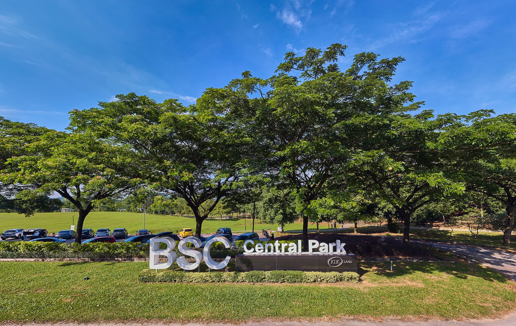 Central Park 14